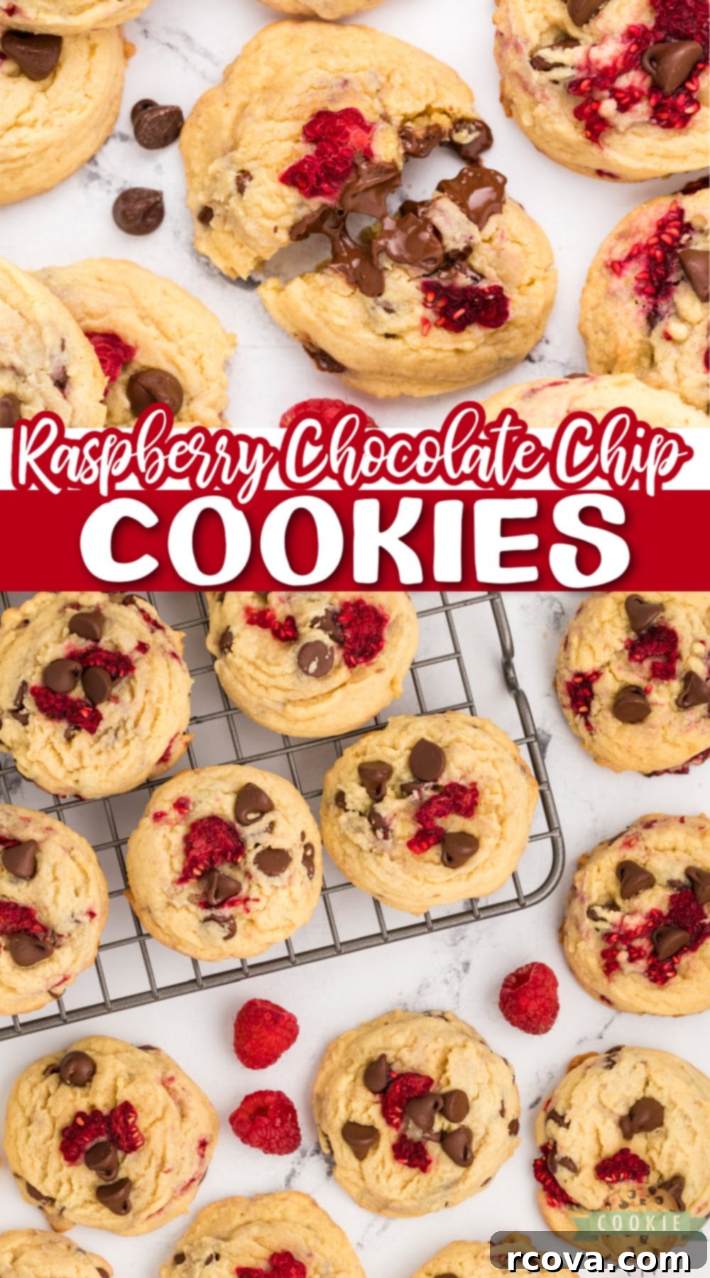 Sweet-Tart Raspberry Chocolate Chip Cookies 17 A stunning plate of Raspberry Chocolate Chip Cookies, inviting a delicious taste experience
