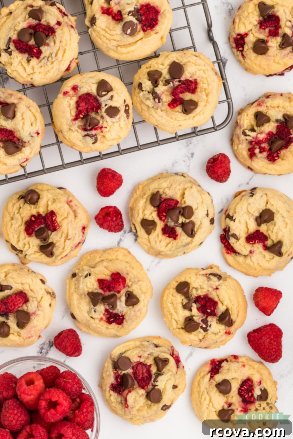 Sweet-Tart Raspberry Chocolate Chip Cookies 3 Close-up of a perfectly baked chocolate chip cookie recipe with fresh raspberries baked in