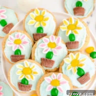 Marshmallow Blossom Cookies 8 A plateful of pretty marshmallow flower sugar cookies, ready to be enjoyed.