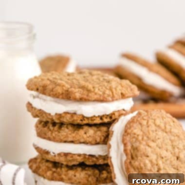 Dreamy Oatmeal Cream Cookies 10 A finished homemade oatmeal cream pie, showing the soft cookie and fluffy filling, a classic American dessert