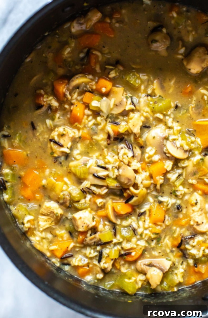 Effortless Comfort Chicken Wild Rice Soup 9 Close-up of hearty chicken wild rice soup in a bowl, ready to eat