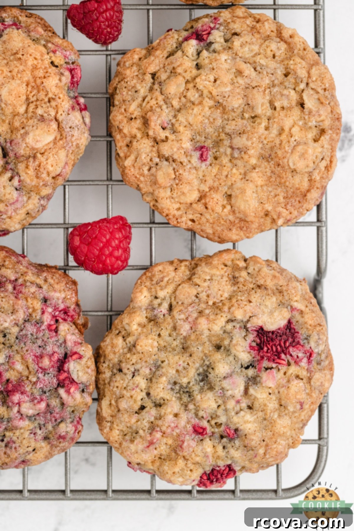 Chewy Raspberry Oatmeal Cookies 4 Close-up of a chewy oatmeal cookie with visible raspberries, showcasing the delightful texture of this raspberry oatmeal cookie recipe.