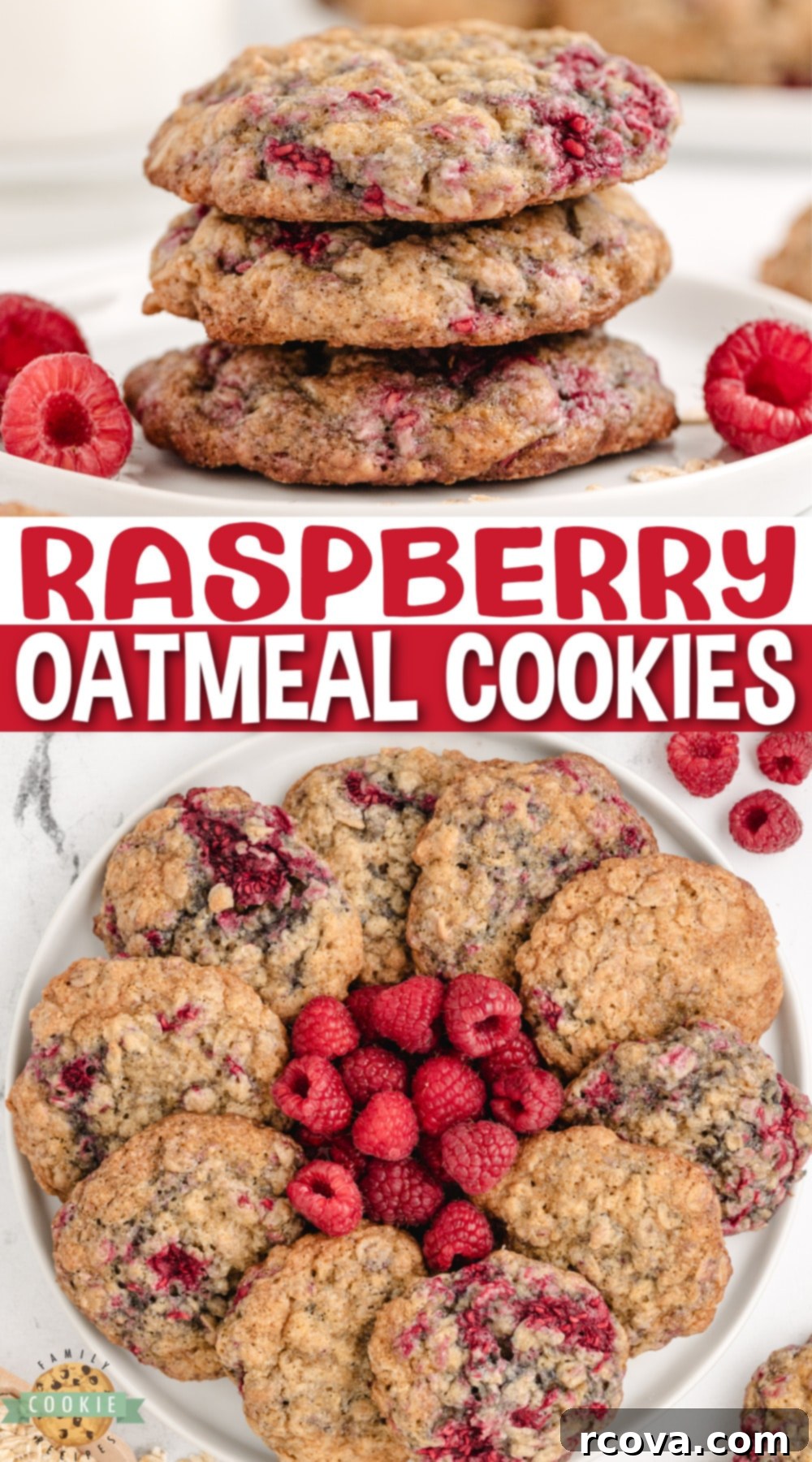 Chewy Raspberry Oatmeal Cookies 10 A stack of soft, chewy Raspberry Oatmeal Cookies, showcasing the delicious rolled oats and frozen raspberries. An amazing oatmeal cookie recipe with a delightful twist!