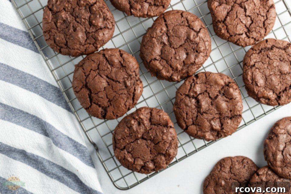 Double Chocolate Dream Cookies 11 A variety of delicious chocolate cookie recipes to try