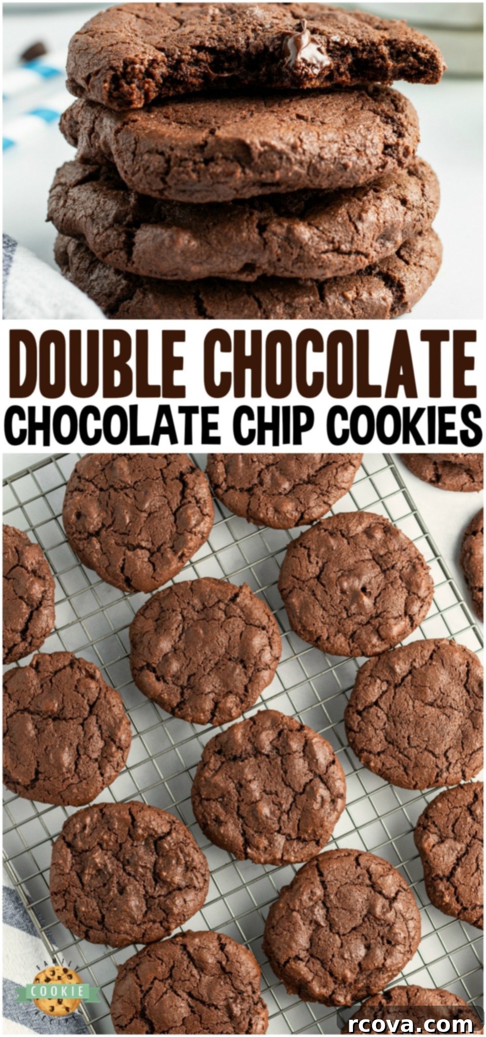 Double Chocolate Dream Cookies 15 Delicious Double Chocolate Chip Cookies ready to be enjoyed