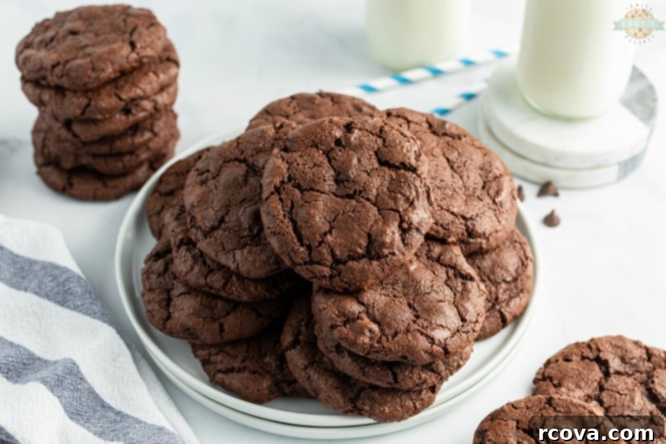 Double Chocolate Dream Cookies 3 Preparing the perfect chocolate cookie batter with key ingredients