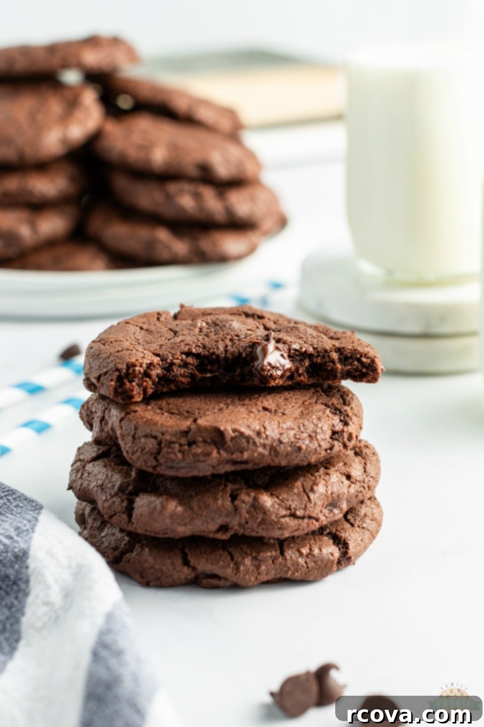 Double Chocolate Dream Cookies 7 Freshly baked Double Chocolate Chip Cookies cooling on a rack