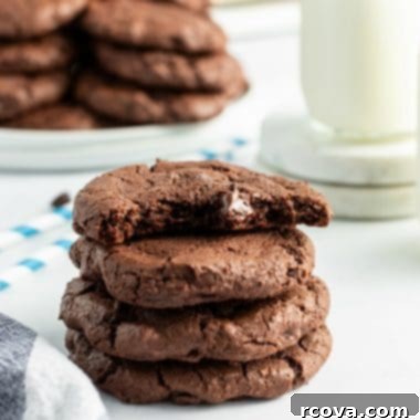 Double Chocolate Dream Cookies 8 Double Chocolate Chip Cookies recipe card image