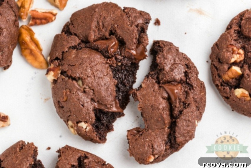 Cake Mix Magic Chocolate Cookies 3 Two soft chocolate cake mix cookies stacked, showing off their rich color and chocolate chips.