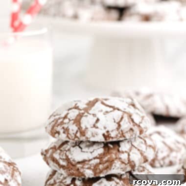 Fudgy Brownie Crinkles 8 img 32038 7