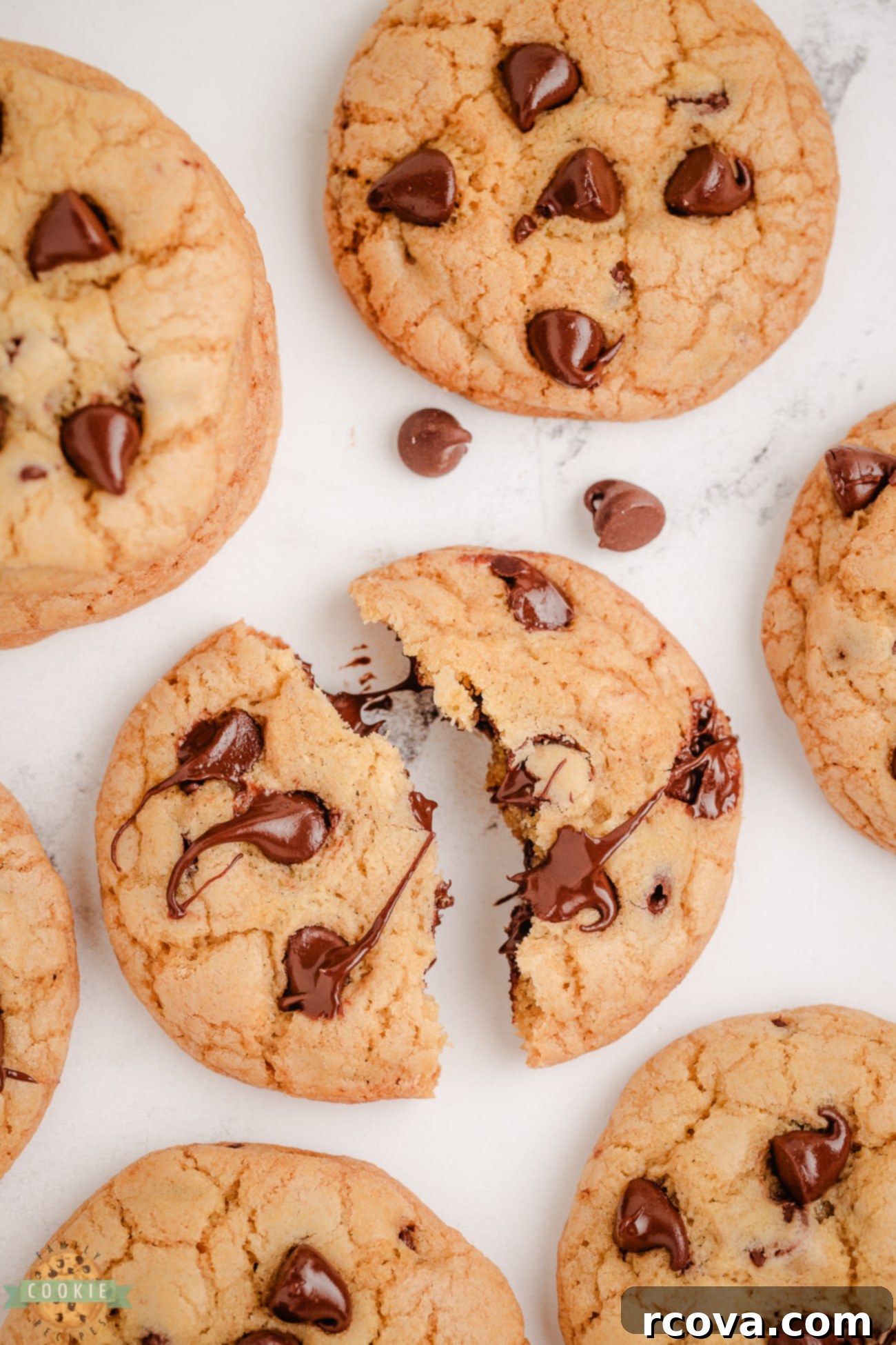 Homemade Grand Floridian Chocolate Chip Cookies 3 breaking a chocolate chip cookie in half