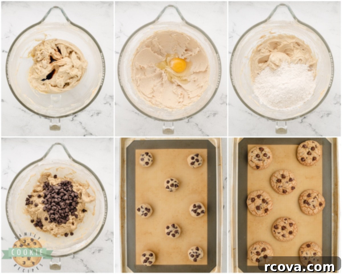 Homemade Grand Floridian Chocolate Chip Cookies 4 how to make copycat Grand Floridian Chocolate Chip Cookies with half lard and half butter