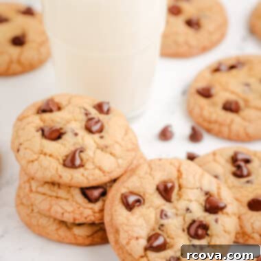Homemade Grand Floridian Chocolate Chip Cookies 6 Grand Floridian Chocolate Chip Cookies with half lard half butter