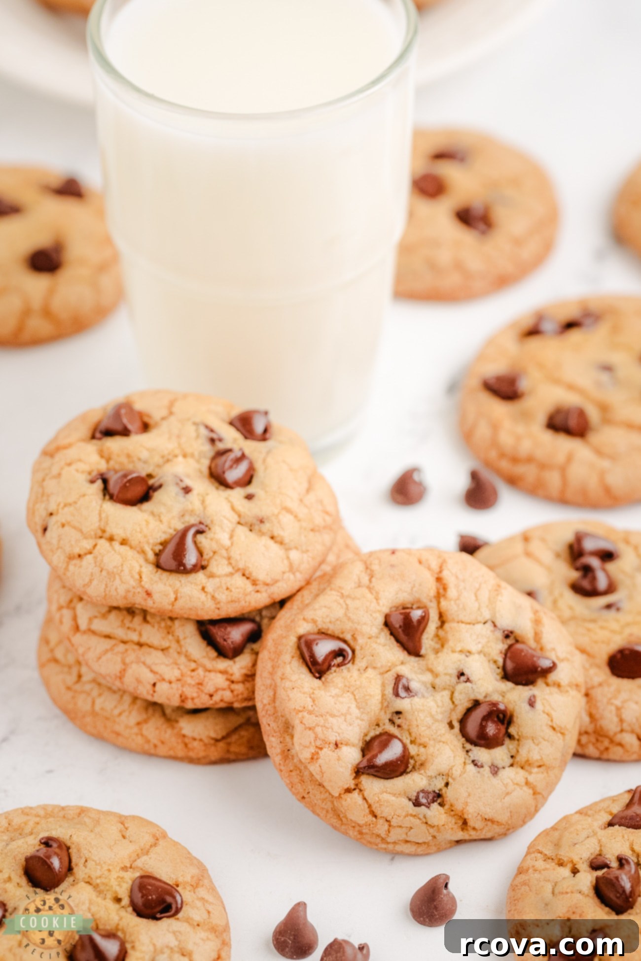 Homemade Grand Floridian Chocolate Chip Cookies 7 Grand Floridian Chocolate Chip Cookies with half lard half butter