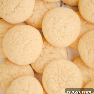Homemade Nilla Wafers 6 A close-up of delicious homemade copycat Nilla wafer cookies, golden and inviting.
