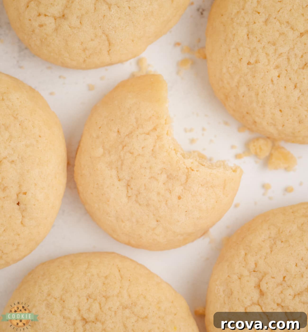 Homemade Nilla Wafers 7 A homemade Nilla wafer copycat cookie with a bite taken out, showing its light and airy interior.