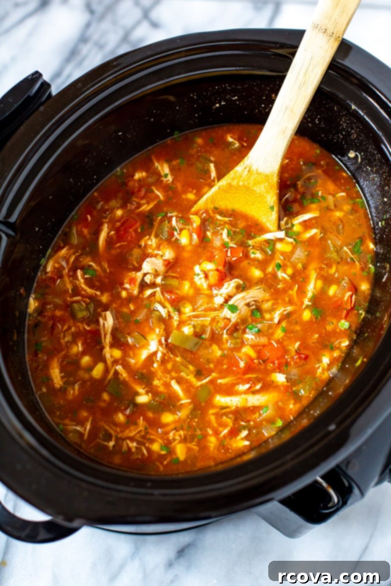 Slow Cooker Chicken Tortilla Soup 5 Crockpot Chicken Tortilla Soup