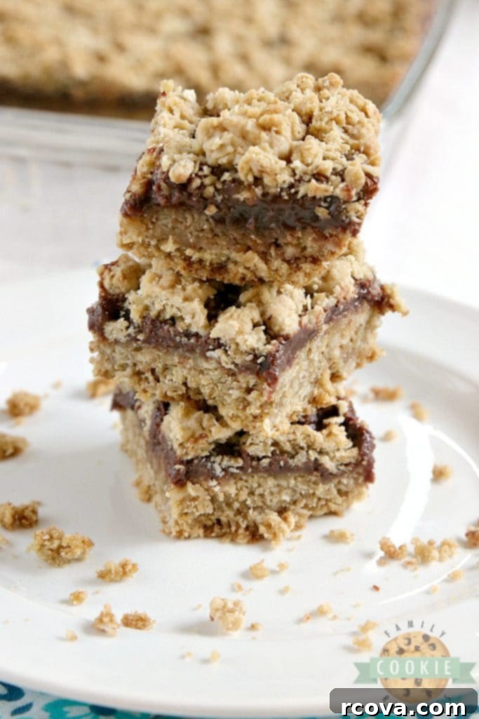 Chewy Fudgy Oat Bars 5 A close-up of all the ingredients for Fudgy Oatmeal Cookie Bars laid out, including quick oats, flour, butter, brown sugar, chocolate chips, and sweetened condensed milk.