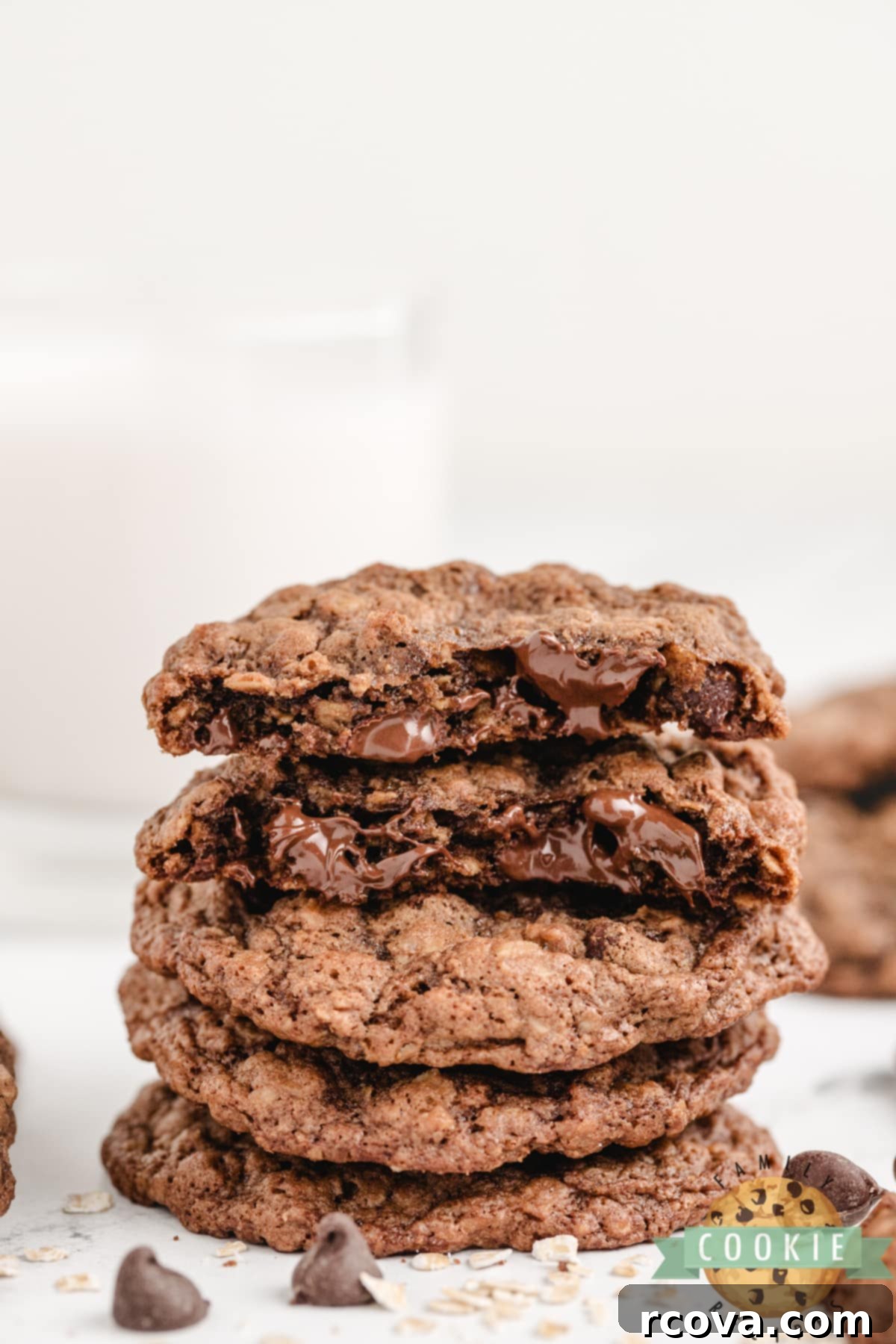 Decadent Double Chocolate Oatmeal Delights 2 Double Chocolate Oatmeal Cookies are soft, chewy, and packed with chocolate! Chocolate cookie recipe packed with oats and chocolate chips.