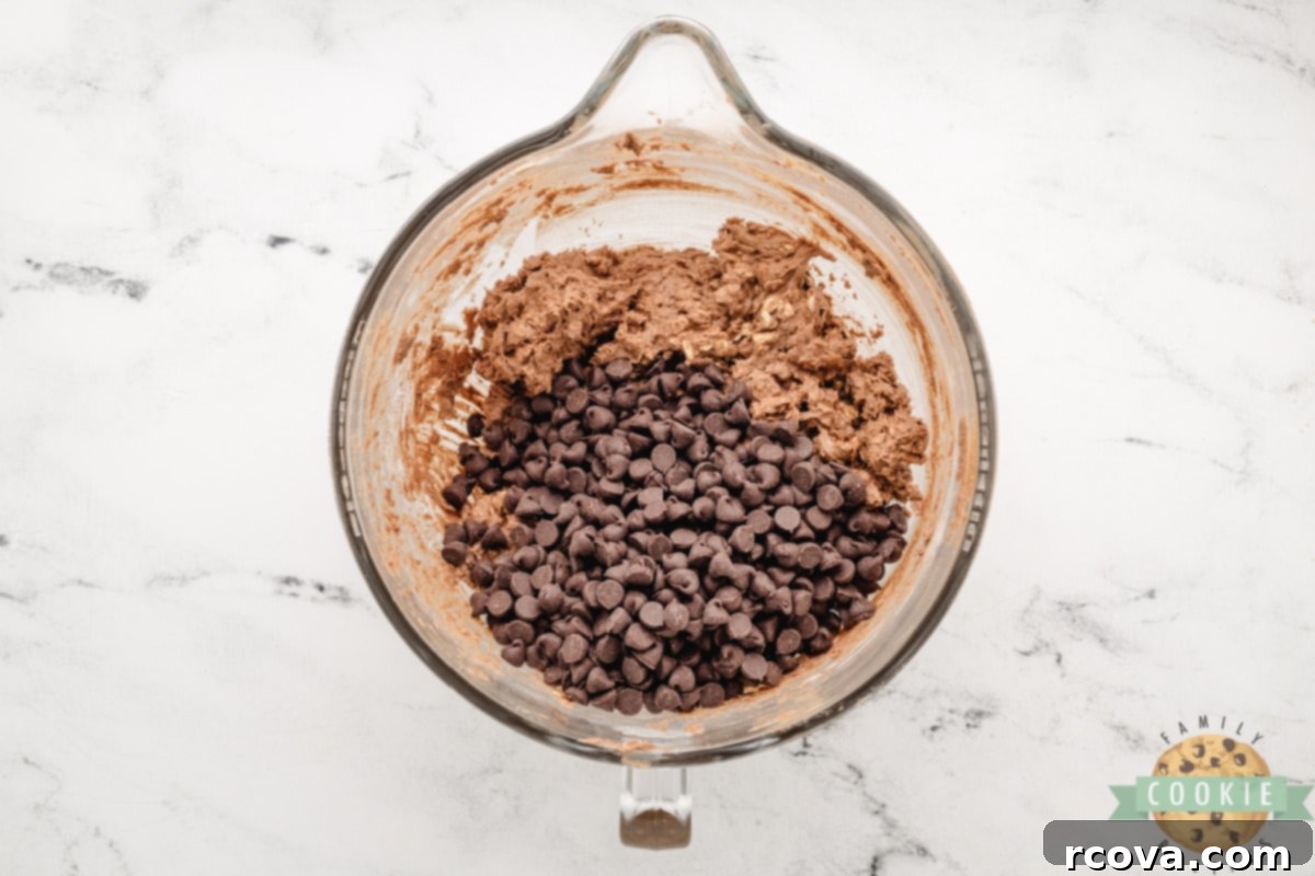 Decadent Double Chocolate Oatmeal Delights 5 Mixing up double chocolate oatmeal cookie dough.