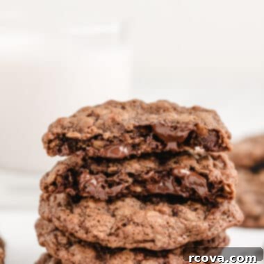 Decadent Double Chocolate Oatmeal Delights 8 Double Chocolate Oatmeal Cookies