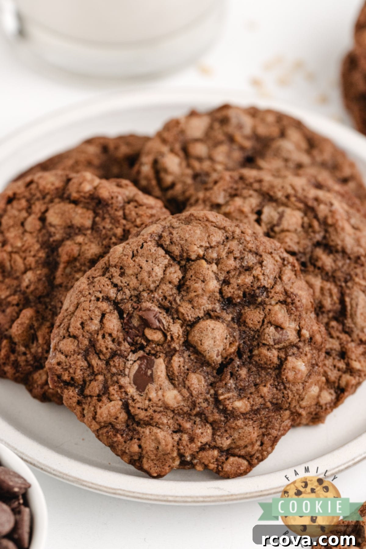 Decadent Double Chocolate Oatmeal Delights 10 Plate of oatmeal chocolate cookies.