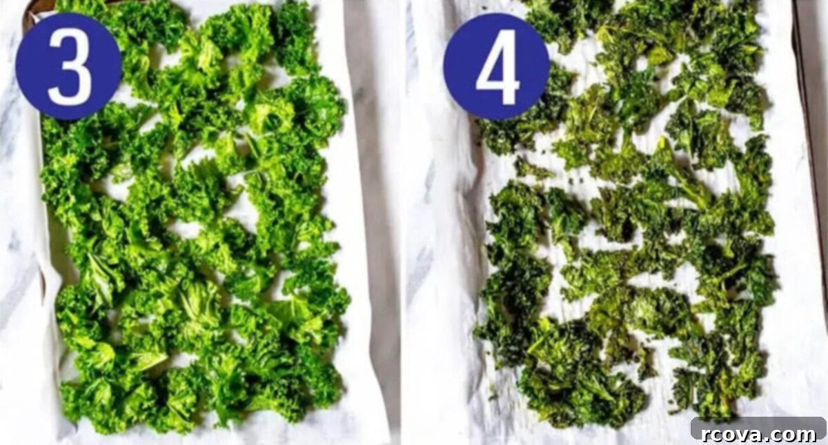Crispy Baked Kale 6 Steps 3 and 4 for making kale chips: Toss with olive oil/seasoning then bake.