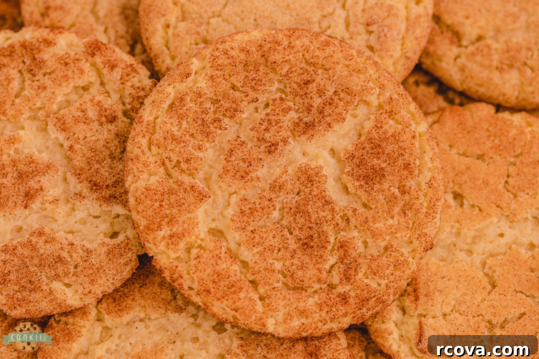 The Ultimate Snickerdoodle Recipe 2 chewy Snickerdoodle cookies arranged on a plate