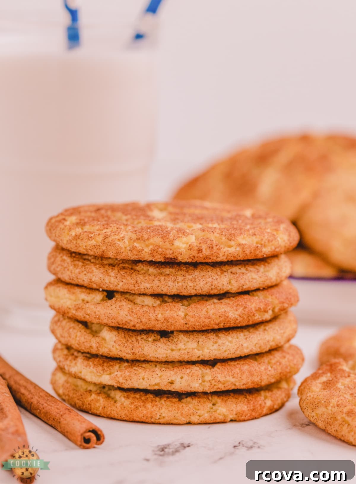 The Ultimate Snickerdoodle Recipe 4 stacked Snickerdoodle cookies with a bite taken out