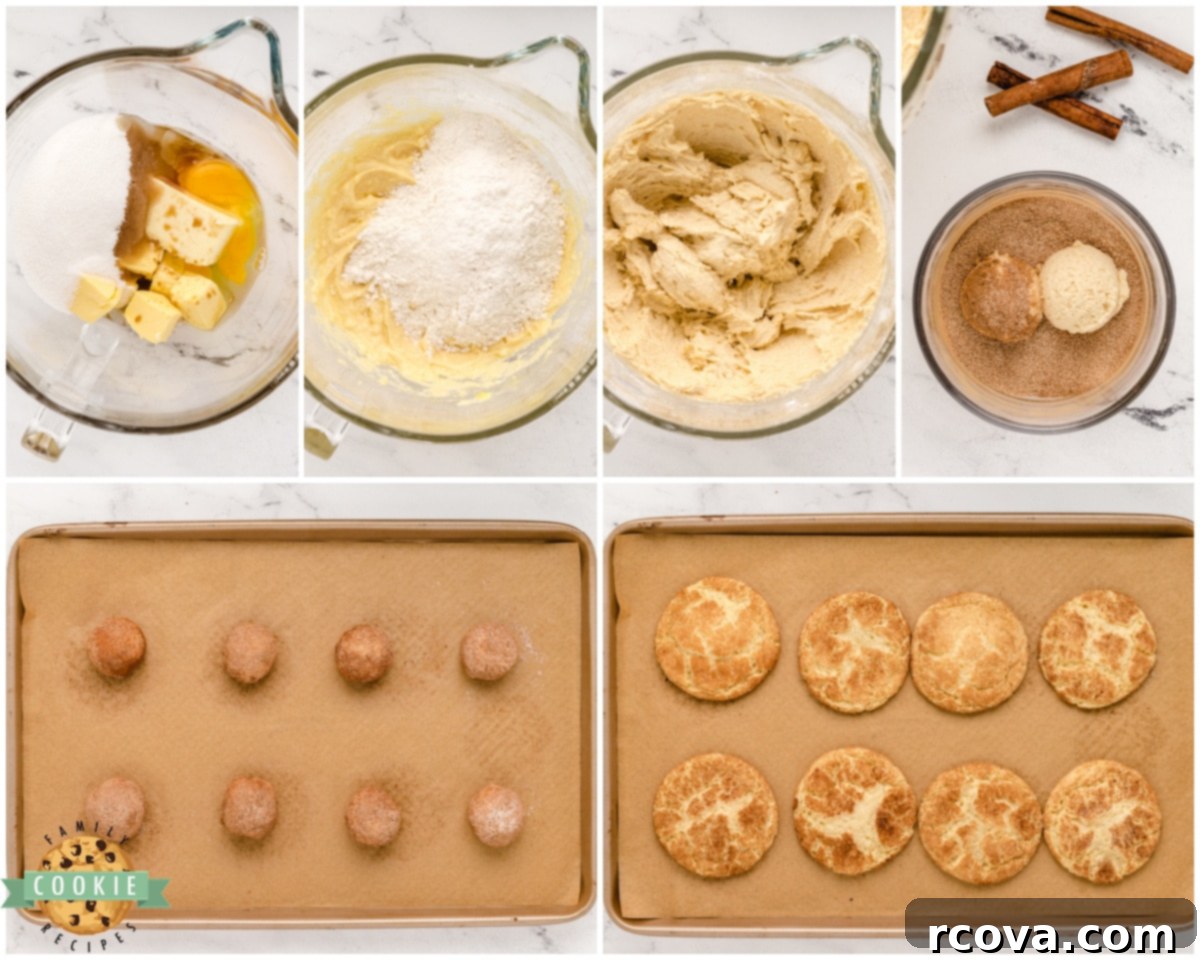 The Ultimate Snickerdoodle Recipe 5 how to make the best Snickerdoodle cookies step by step