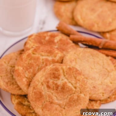 The Ultimate Snickerdoodle Recipe 9 best Snickerdoodle cookies on a plate with cinnamon sugar