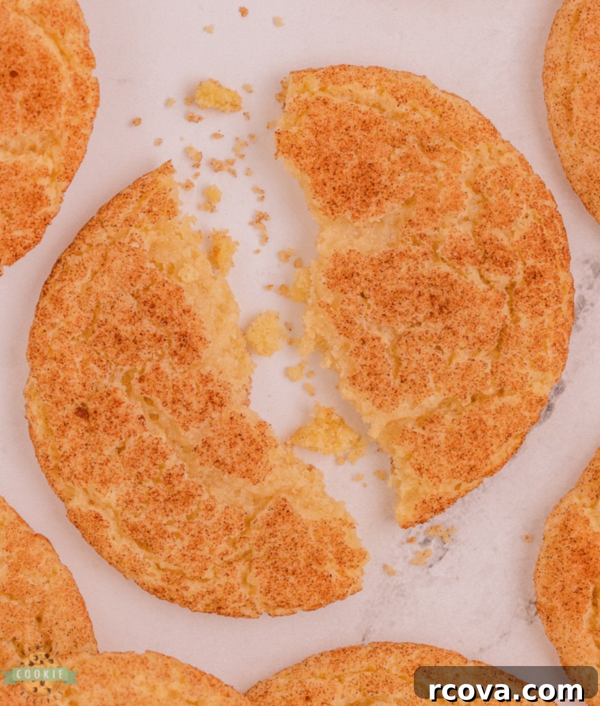 The Ultimate Snickerdoodle Recipe 10 snickerdoodle cookie broken in half showing its soft interior