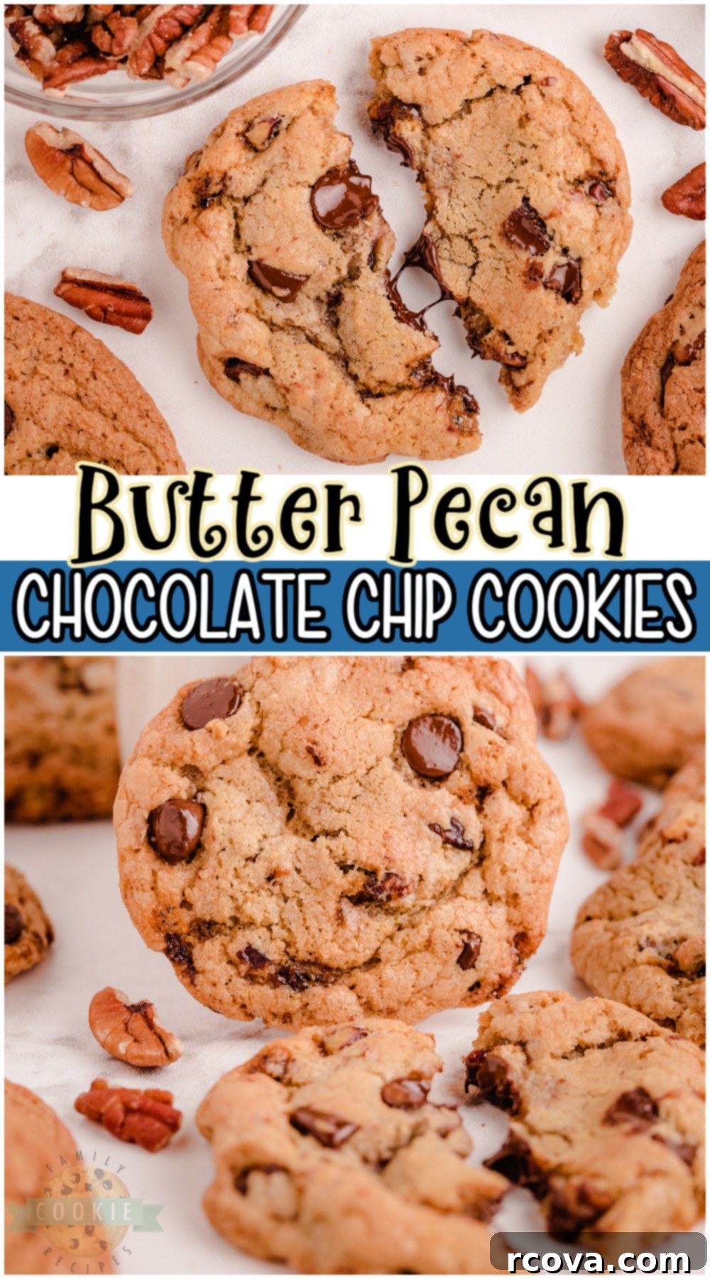 Irresistible Butter Pecan Chocolate Chip Cookies 14 A stunning Pinterest-friendly image displaying Butter Pecan Chocolate Chip Cookies with a recipe overlay.