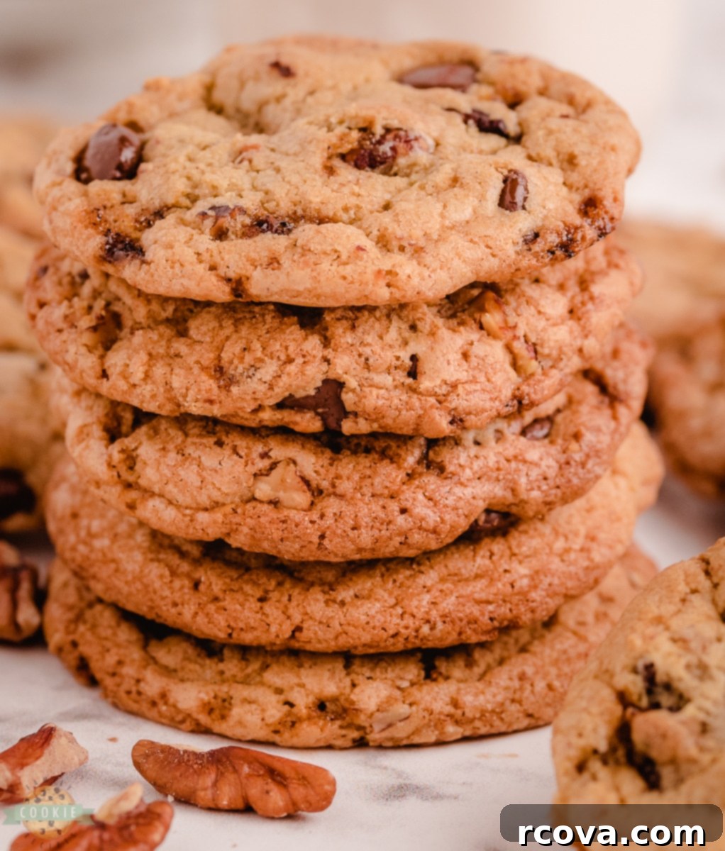 Irresistible Butter Pecan Chocolate Chip Cookies 4 A KitchenAid stand mixer with a bowl of cookie dough, ready for the next step in making Butter Pecan Chocolate Chip Cookies.