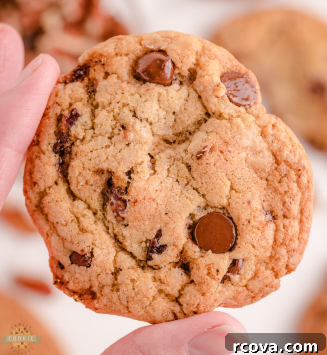 Irresistible Butter Pecan Chocolate Chip Cookies 5 Precisely scooped Butter Pecan Chocolate Chip Cookie dough balls on a parchment-lined baking sheet before baking.