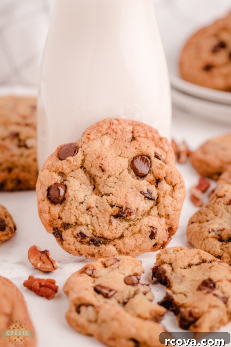 Irresistible Butter Pecan Chocolate Chip Cookies 6 A bowl filled with raw Butter Pecan Chocolate Chip Cookie dough, showcasing its rich texture and visible ingredients.