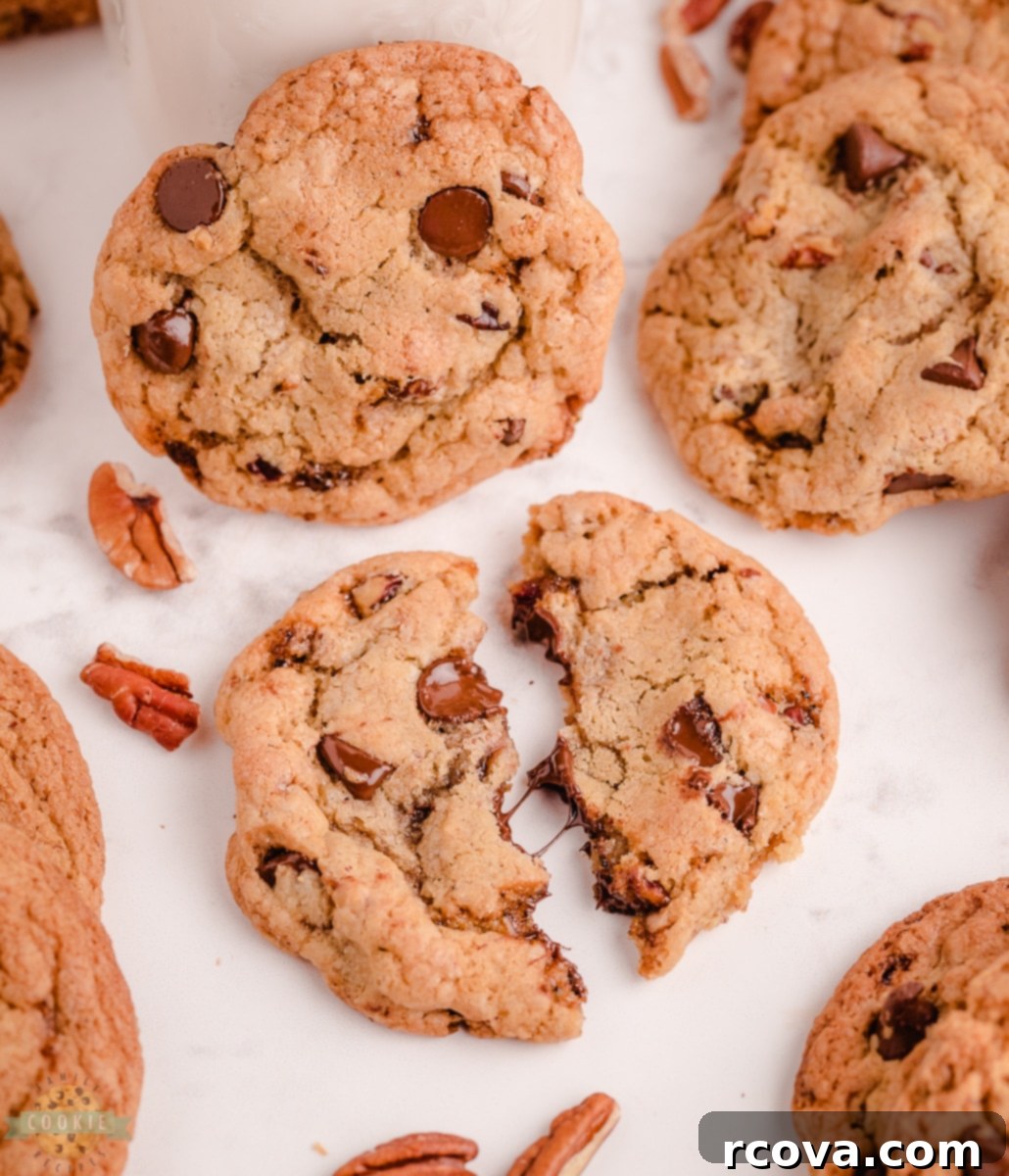 Irresistible Butter Pecan Chocolate Chip Cookies 8 A large mixing bowl filled with cookie dough, showing the texture after combining all ingredients for Butter Pecan Chocolate Chip Cookies.