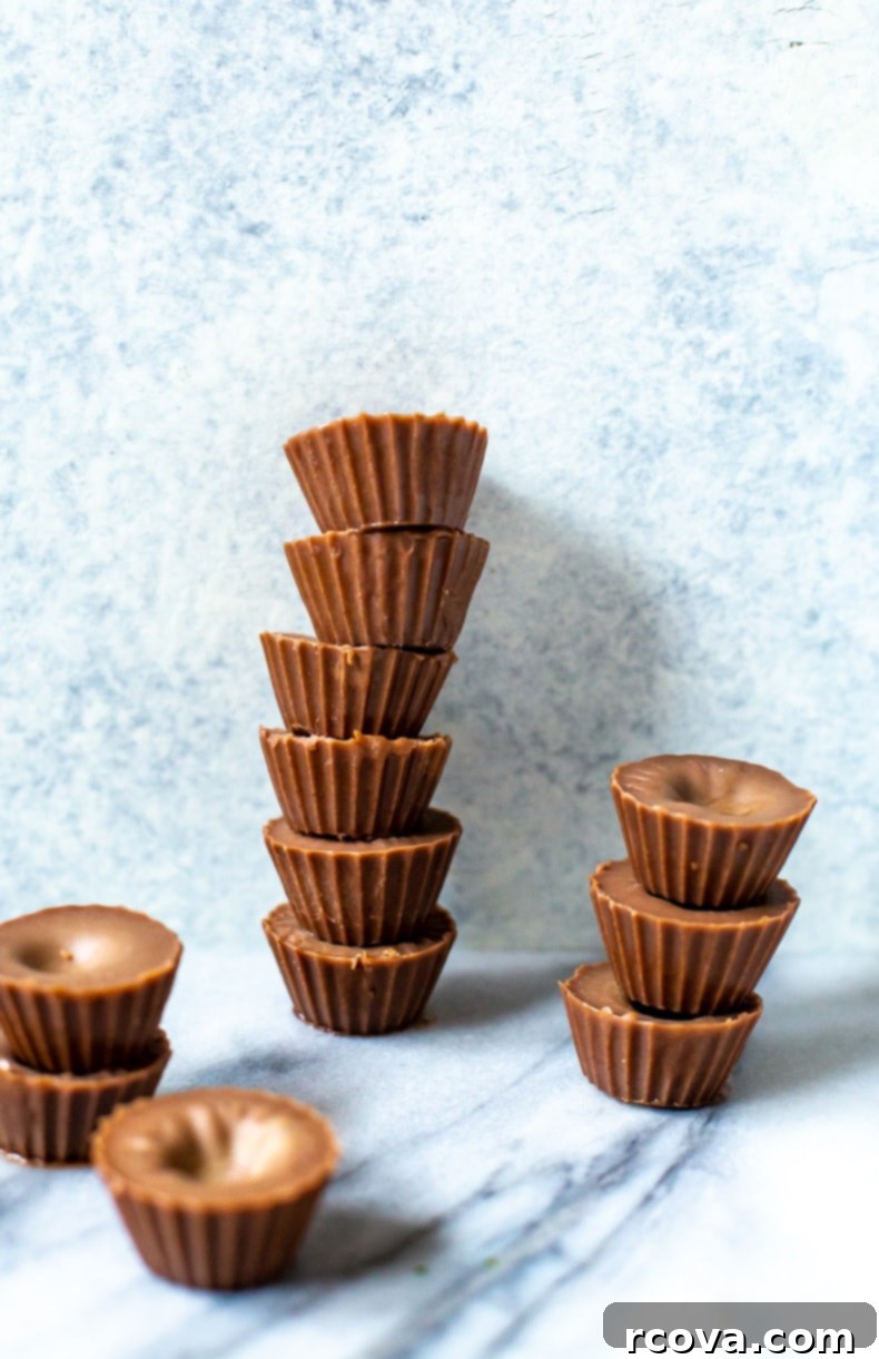 Keto Chocolate Truffles 2 Decadent Chocolate Fat Bombs arranged neatly, showcasing their rich texture and simple elegance, perfect for a keto diet.