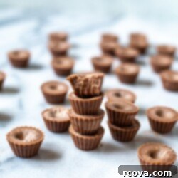 Keto Chocolate Truffles 9 Keto Chocolate Fat Bombs with a sprinkle of cocoa, highlighting their rich, dark appearance.