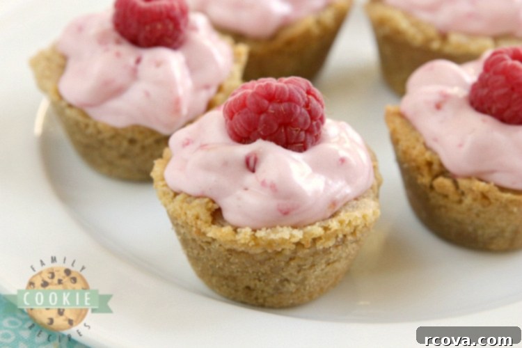 Mini Raspberry Cheesecake Cookie Cups 3 Graham cracker cookie cups with vibrant raspberry cheesecake filling, artfully arranged for a stunning dessert display.