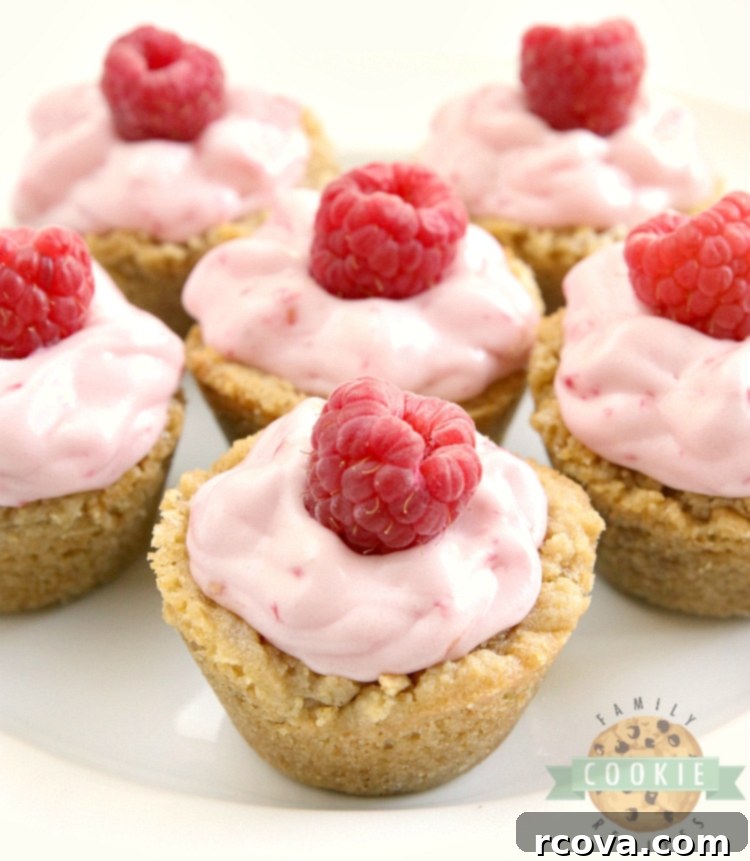 Mini Raspberry Cheesecake Cookie Cups 5 A tray of beautifully arranged Raspberry Cheesecake Cookie Cups, showcasing their golden graham cracker crusts and luscious raspberry filling, ready to serve.