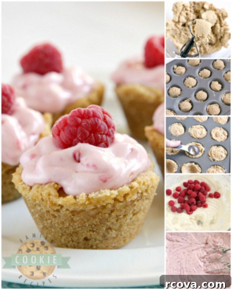 Mini Raspberry Cheesecake Cookie Cups 6 Close-up of a single graham cracker cookie cup with a generous swirl of raspberry cream cheese filling, crowned with a fresh berry.