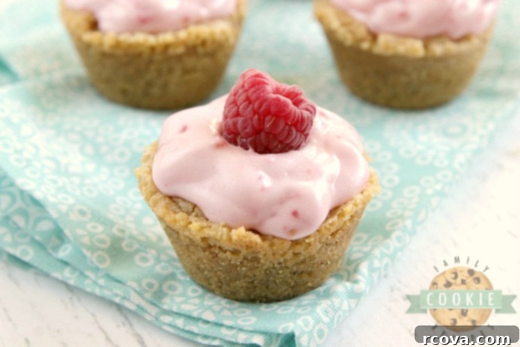 Mini Raspberry Cheesecake Cookie Cups 9 Several Raspberry Cheesecake Cookie Cups presented on a white serving dish, highlighting their neat appearance and delicious filling, ready to be picked up.