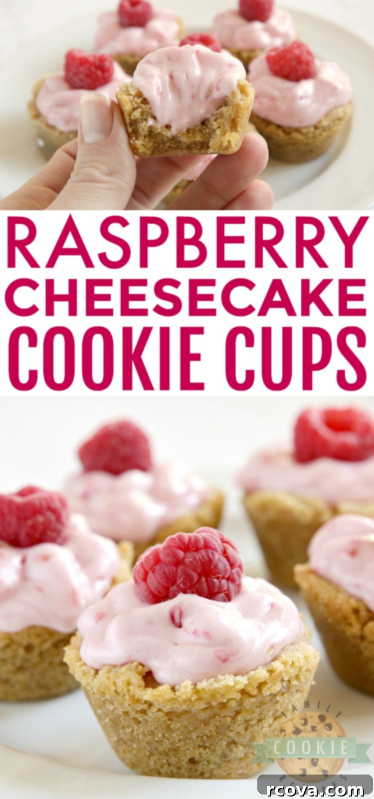 Mini Raspberry Cheesecake Cookie Cups 10 A large platter filled with beautifully arranged Raspberry Cheesecake Cookie Cups, showing off their appealing presentation with fresh raspberry garnishes.