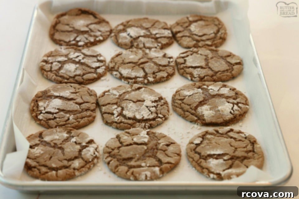 Cozy Cinnamon Chocolate Crinkles 3 Two Cinnamon Chocolate Crinkle Cookies showing off their perfect texture