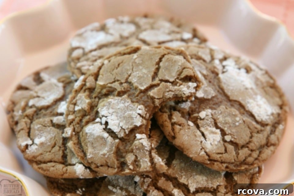Cozy Cinnamon Chocolate Crinkles 6 Close-up of baked Cinnamon Chocolate Crinkle Cookies, highlighting the powdered sugar coating