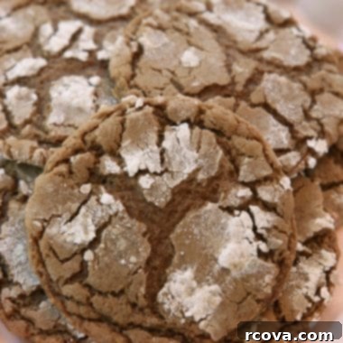 Cozy Cinnamon Chocolate Crinkles 7 How to make Cinnamon Chocolate Crinkle Cookies