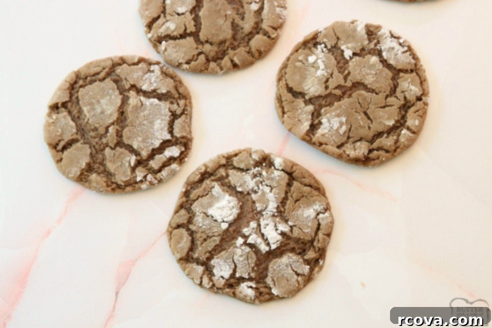 Cozy Cinnamon Chocolate Crinkles 9 Baked Cinnamon Chocolate Crinkle Cookies on a wooden board