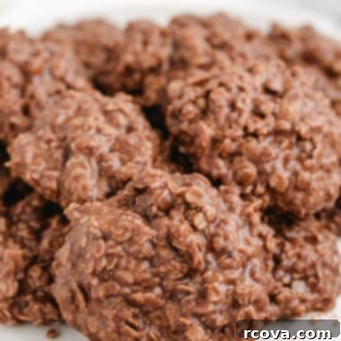 Instant Microwave Cookies 11 img 34593 10
