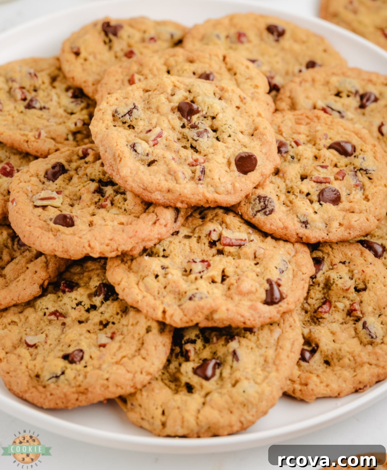 Ten-Cup Cookie Delights 2 plateful of 10 cup cookies